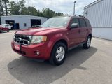 Used 2008 Ford Escape XLT image 5