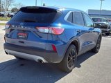 Used 2022 Ford Escape SE w/ Convenience Package image 4