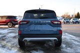 Used 2025 Ford Escape Active w/ Cold Weather Package image 6