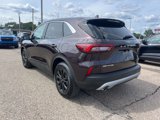 Certified 2023 Ford Escape Active w/ Tech Pack #2 image 6