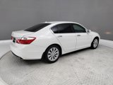 Used 2014 Honda Accord EX-L image 6