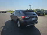 Used 2020 Ford Escape SE image 3