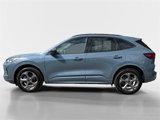 Used 2024 Ford Escape ST-Line image 6