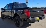 New 2025 Ford F150 STX w/ STX Black Appearance Package image 6
