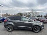 Used 2019 Ford Escape SE image 4
