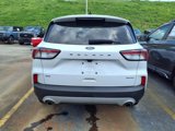 Certified 2022 Ford Escape SE w/ Cold Weather Package image 3
