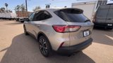 Certified 2022 Ford Escape SE w/ SE Sport Appearance Package image 4
