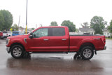 Used 2021 Ford F150 XLT w/ Equipment Group 302A High image 2