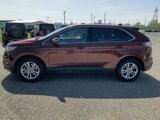 Used 2015 Ford Edge SEL w/ Equipment Group 201A image 5