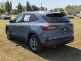 New 2025 Ford Escape ST-Line w/ Cold Weather Package image 5