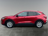 Used 2023 Ford Escape Active w/ Tech Pack #1 image 4