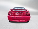 Used 2004 Ford Mustang GT Premium image 6