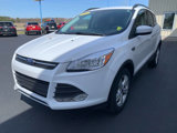 Used 2016 Ford Escape SE w/ Equipment Group 201A image 4