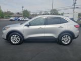 Used 2020 Ford Escape SE image 2
