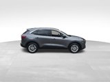 Certified 2022 Ford Escape SE w/ Convenience Package image 4