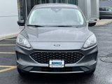 Used 2022 Ford Escape SE w/ Cold Weather Package image 4