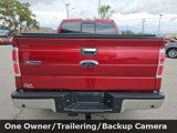 Used 2013 Ford F150 XLT w/ Luxury Equipment Group image 6