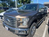 Used 2015 Ford F150 XLT w/ Equipment Group 302A Luxury image 3