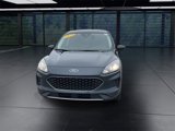 Used 2022 Ford Escape SE w/ Convenience Package image 3