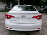 Used 2016 Hyundai Sonata SE image 2