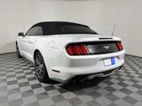 Used 2017 Ford Mustang Premium image 5