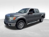Used 2011 Ford F150 XLT w/ XLT Chrome Pkg image 5