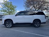 Used 2021 Cadillac Escalade Sport Platinum image 5