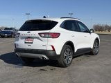 Used 2020 Ford Escape SEL image 4