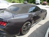 Certified 2024 Ford Mustang GT Premium image 3