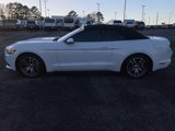 Used 2017 Ford Mustang Premium image 6