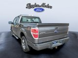 Used 2014 Ford F150 STX w/ Equipment Group 201A Mid image 4