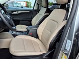 Certified 2022 Ford Escape SEL image 4
