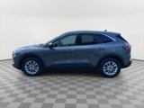 Used 2021 Ford Escape SE w/ Convenience Package image 4