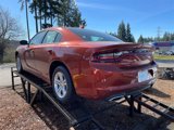 New 2023 Dodge Charger SXT w/ Cold Weather Package image 5