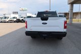 Used 2020 Ford F150 XL w/ Equipment Group 101A Mid image 5