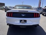 Used 2022 Ford Mustang Premium image 4