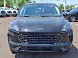 Used 2022 Ford Escape SE w/ SE Sport Appearance Package image 2