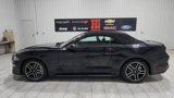 Used 2021 Ford Mustang Premium image 5