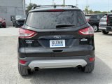 Used 2014 Ford Escape SE w/ Equipment Group 201A image 5