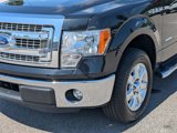 Used 2014 Ford F150 XLT w/ Equipment Group 302A Luxury image 2