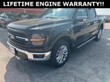 New 2024 Ford F150 XLT w/ Equipment Group 303A High image 4