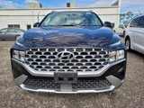 Used 2023 Hyundai Santa Fe SEL w/ Premium Package image 2