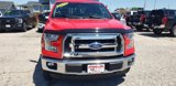 Used 2015 Ford F150 XLT w/ Equipment Group 301A Mid image 4
