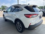 Used 2022 Ford Escape SEL image 5