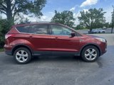 Used 2014 Ford Escape SE w/ Equipment Group 201A image 3