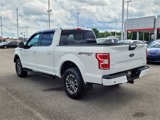 Used 2018 Ford F150 XLT w/ Equipment Group 302A Luxury image 5