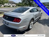 Used 2019 Ford Mustang Premium w/ Pony Package image 5