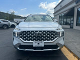 Used 2021 Hyundai Santa Fe SEL w/ Convenience + Premium Package image 6