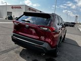 Used 2020 Toyota RAV4 XLE image 5