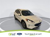 Used 2020 Ford Escape SEL image 3